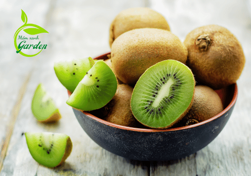 Chiết Xuất Quả Kiwi: Bí Quyết Làn Da Tươi Trẻ Từ Thiên Nhiên