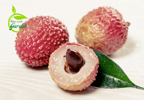 Chiết xuất hạt litchi: Bí quyết trẻ hóa làn da từ thiên nhiên